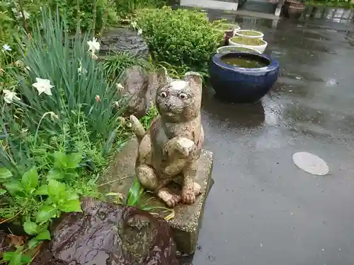 御誕生寺（猫寺）の狛犬