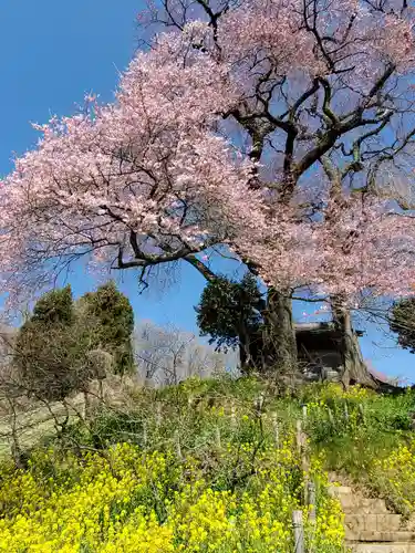 天神さまの祠の自然