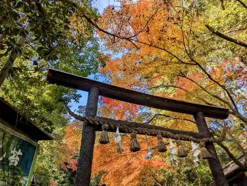 野宮神社の鳥居