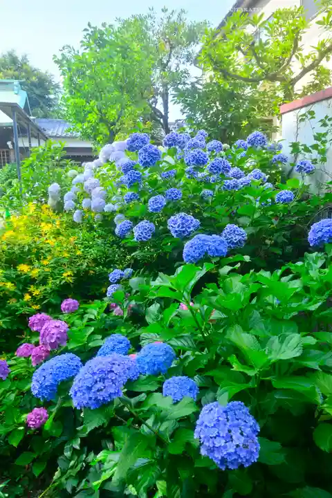 本郷氷川神社(東京都)