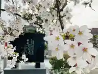 總社 和田八幡宮の自然