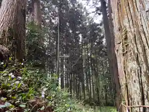 大宮温泉神社(栃木県)(2023年05月01日(月) 07時50分58秒投稿)