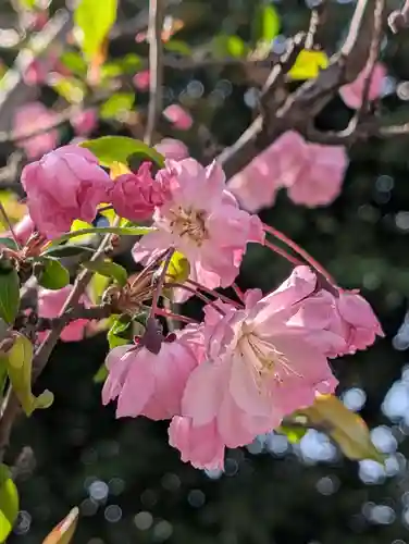 潮田神社(神奈川県)