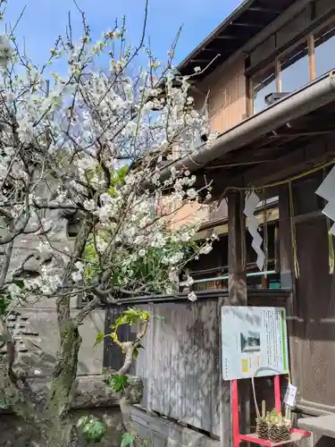 高円寺天祖神社(東京都)