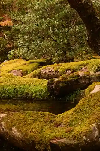 天授庵(京都府)