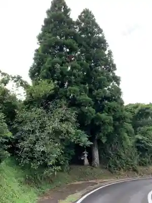 秋葉神社の周辺