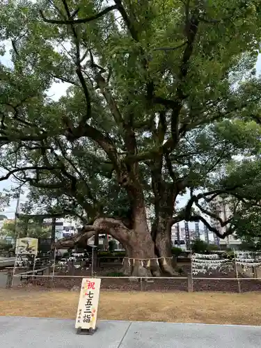 諫早神社（九州総守護  四面宮）(長崎県)