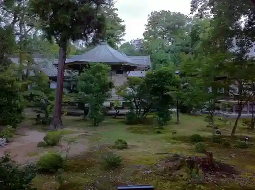 大覚寺の庭園