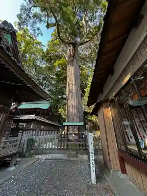 事任八幡宮(静岡県)