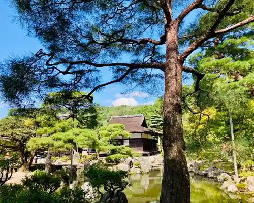 慈照寺（慈照禅寺・銀閣寺）のその他建物