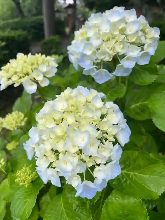 宮地嶽神社(福岡県)