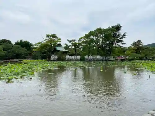 旗上弁財天社の景色