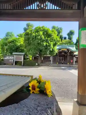 白金氷川神社(東京都)