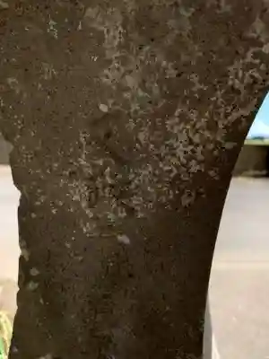 浦賀神社(千葉県)