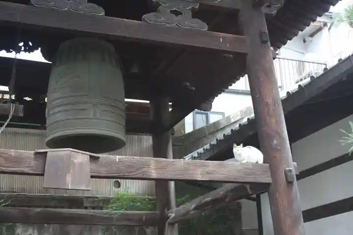 行願寺(革堂)(京都府)