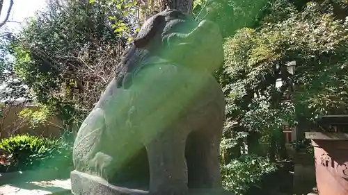 御田八幡神社の狛犬