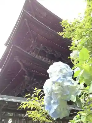 椎尾山薬王院の塔