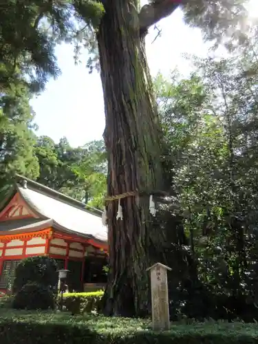 香取神宮のその他建物
