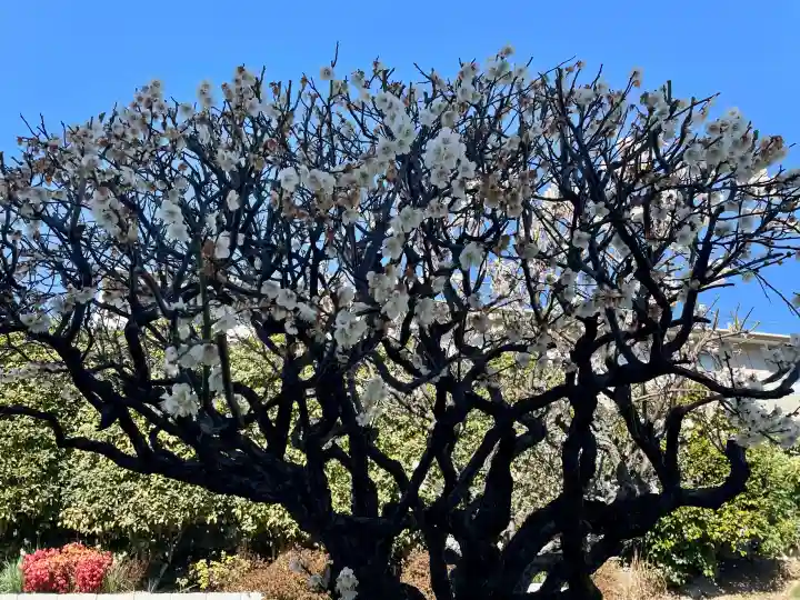 福勝寺の{uncategorized: "未分類", other: "その他", undefined: "問題あり", building: "その他建物", grave: "お墓", sacred_gate: "鳥居", guardian: "狛犬", statue: "像", buddha: "仏像", history: "歴史", nature: "自然", garden: "庭園", animal: "動物", pagoda: "塔", temizu: "手水舎", mountain_gate: "山門・神門", sanctuary: "本殿・本堂", subordinate: "末社・摂社", art: "芸術", scenery: "景色", jizo: "地蔵", ema: "絵馬", goshuin: "御朱印", omikuji: "おみくじ", items: "授与品その他", amulet: "お守り", goshuincho: "御朱印帳", eats: "食事", festival: "お祭り", votive_dance: "神楽", shichigosan: "七五三参", wedding: "結婚式", experience: "体験その他", initially: "初詣", around: "周辺", anti_infection: "感染症対策"}