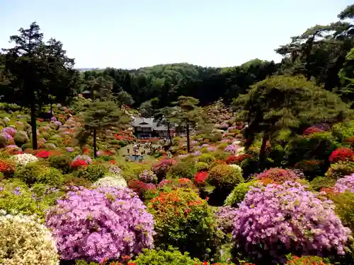 塩船観音寺の景色