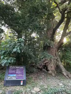 都萬神社(宮崎県)