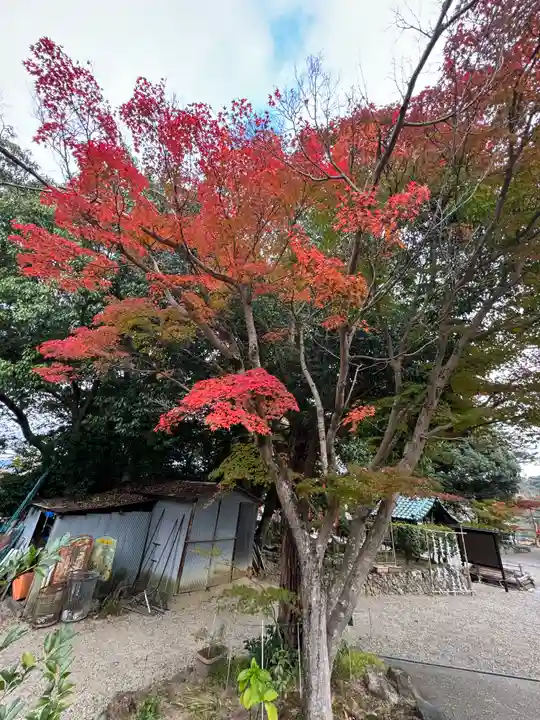 龍田大社(奈良県)