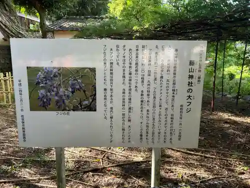藤山神社(長崎県)