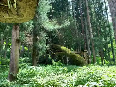 駒嶽神社(福島県)