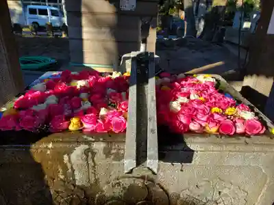 上野総社神社(群馬県)