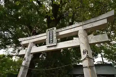 八大龍王神社(徳島県)