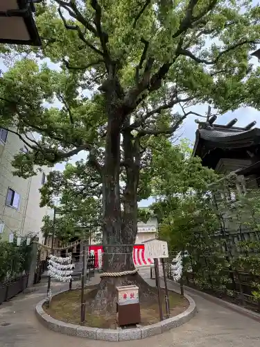 溝口神社の{uncategorized: "未分類", other: "その他", undefined: "問題あり", building: "その他建物", grave: "お墓", sacred_gate: "鳥居", guardian: "狛犬", statue: "像", buddha: "仏像", history: "歴史", nature: "自然", garden: "庭園", animal: "動物", pagoda: "塔", temizu: "手水舎", mountain_gate: "山門・神門", sanctuary: "本殿・本堂", subordinate: "末社・摂社", art: "芸術", scenery: "景色", jizo: "地蔵", ema: "絵馬", goshuin: "御朱印", omikuji: "おみくじ", items: "授与品その他", amulet: "お守り", goshuincho: "御朱印帳", eats: "食事", festival: "お祭り", votive_dance: "神楽", shichigosan: "七五三参", wedding: "結婚式", experience: "体験その他", initially: "初詣", around: "周辺", anti_infection: "感染症対策"}