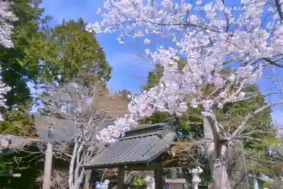 冨士御室浅間神社(山梨県)