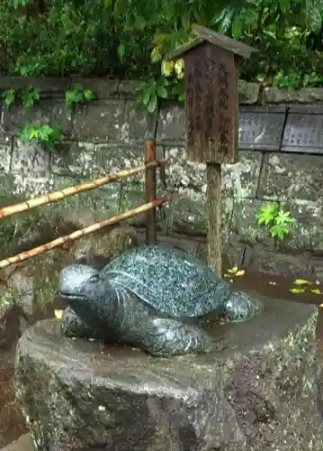 酒列磯前神社の狛犬