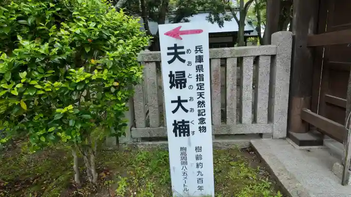 伊弉諾神宮の{uncategorized: "未分類", other: "その他", undefined: "問題あり", building: "その他建物", grave: "お墓", sacred_gate: "鳥居", guardian: "狛犬", statue: "像", buddha: "仏像", history: "歴史", nature: "自然", garden: "庭園", animal: "動物", pagoda: "塔", temizu: "手水舎", mountain_gate: "山門・神門", sanctuary: "本殿・本堂", subordinate: "末社・摂社", art: "芸術", scenery: "景色", jizo: "地蔵", ema: "絵馬", goshuin: "御朱印", omikuji: "おみくじ", items: "授与品その他", amulet: "お守り", goshuincho: "御朱印帳", eats: "食事", festival: "お祭り", votive_dance: "神楽", shichigosan: "七五三参", wedding: "結婚式", experience: "体験その他", initially: "初詣", around: "周辺", anti_infection: "感染症対策"}