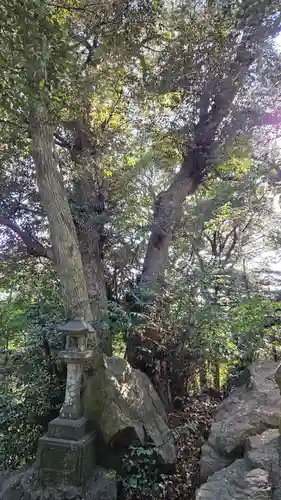 大甕神社の庭園