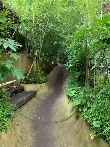 來宮神社の自然