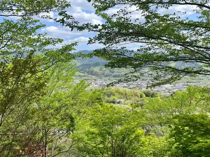 丸高稲荷神社の{uncategorized: "未分類", other: "その他", undefined: "問題あり", building: "その他建物", grave: "お墓", sacred_gate: "鳥居", guardian: "狛犬", statue: "像", buddha: "仏像", history: "歴史", nature: "自然", garden: "庭園", animal: "動物", pagoda: "塔", temizu: "手水舎", mountain_gate: "山門・神門", sanctuary: "本殿・本堂", subordinate: "末社・摂社", art: "芸術", scenery: "景色", jizo: "地蔵", ema: "絵馬", goshuin: "御朱印", omikuji: "おみくじ", items: "授与品その他", amulet: "お守り", goshuincho: "御朱印帳", eats: "食事", festival: "お祭り", votive_dance: "神楽", shichigosan: "七五三参", wedding: "結婚式", experience: "体験その他", initially: "初詣", around: "周辺", anti_infection: "感染症対策"}