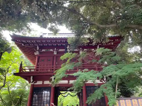 本土寺の山門・神門