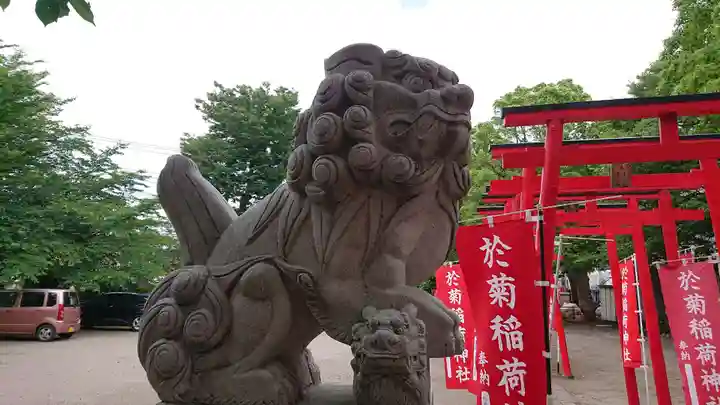 於菊稲荷神社の狛犬