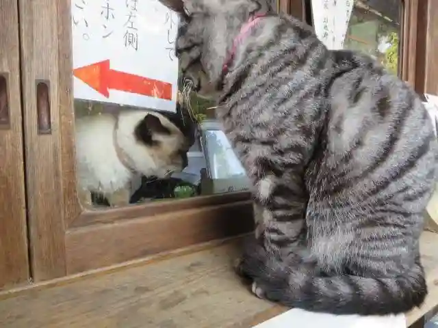 梅宮大社(京都府)