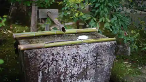 常寂光寺の手水舎