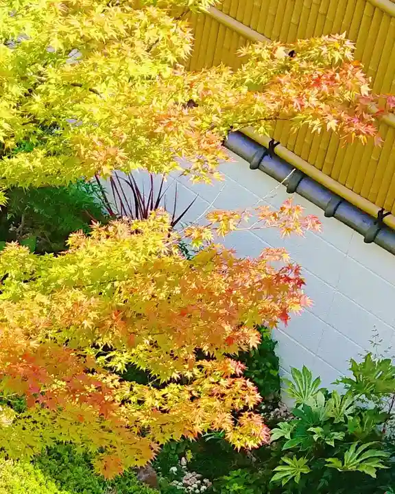 寿量山 速成寺の自然