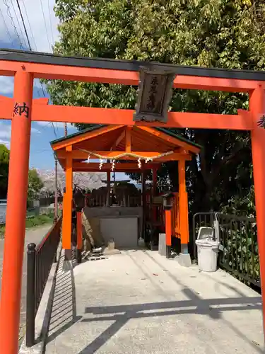 百舌鳥八幡宮の鳥居