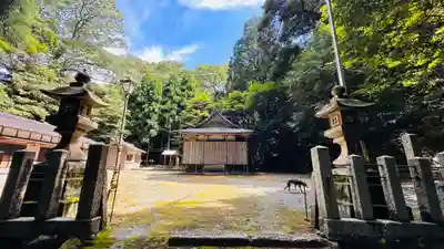 久須夜神社(福井県)
