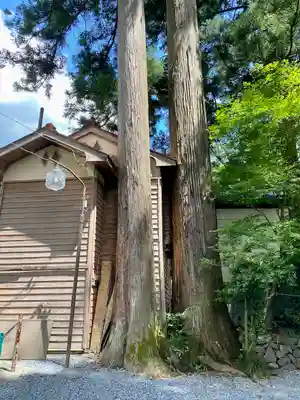 奥氷川神社(東京都)