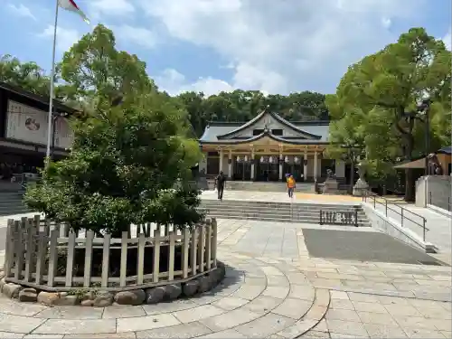 湊川神社(兵庫県)