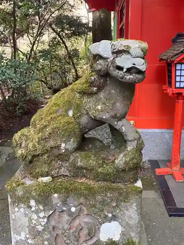 箱根神社の狛犬