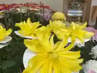 美奈宜神社(福岡県)