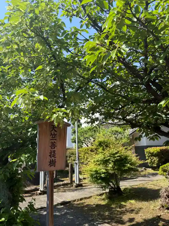長久寺の{uncategorized: "未分類", other: "その他", undefined: "問題あり", building: "その他建物", grave: "お墓", sacred_gate: "鳥居", guardian: "狛犬", statue: "像", buddha: "仏像", history: "歴史", nature: "自然", garden: "庭園", animal: "動物", pagoda: "塔", temizu: "手水舎", mountain_gate: "山門・神門", sanctuary: "本殿・本堂", subordinate: "末社・摂社", art: "芸術", scenery: "景色", jizo: "地蔵", ema: "絵馬", goshuin: "御朱印", omikuji: "おみくじ", items: "授与品その他", amulet: "お守り", goshuincho: "御朱印帳", eats: "食事", festival: "お祭り", votive_dance: "神楽", shichigosan: "七五三参", wedding: "結婚式", experience: "体験その他", initially: "初詣", around: "周辺", anti_infection: "感染症対策"}