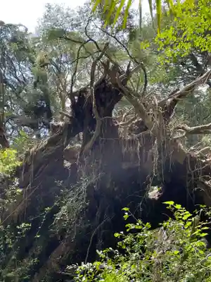 神峯神社(高知県)
